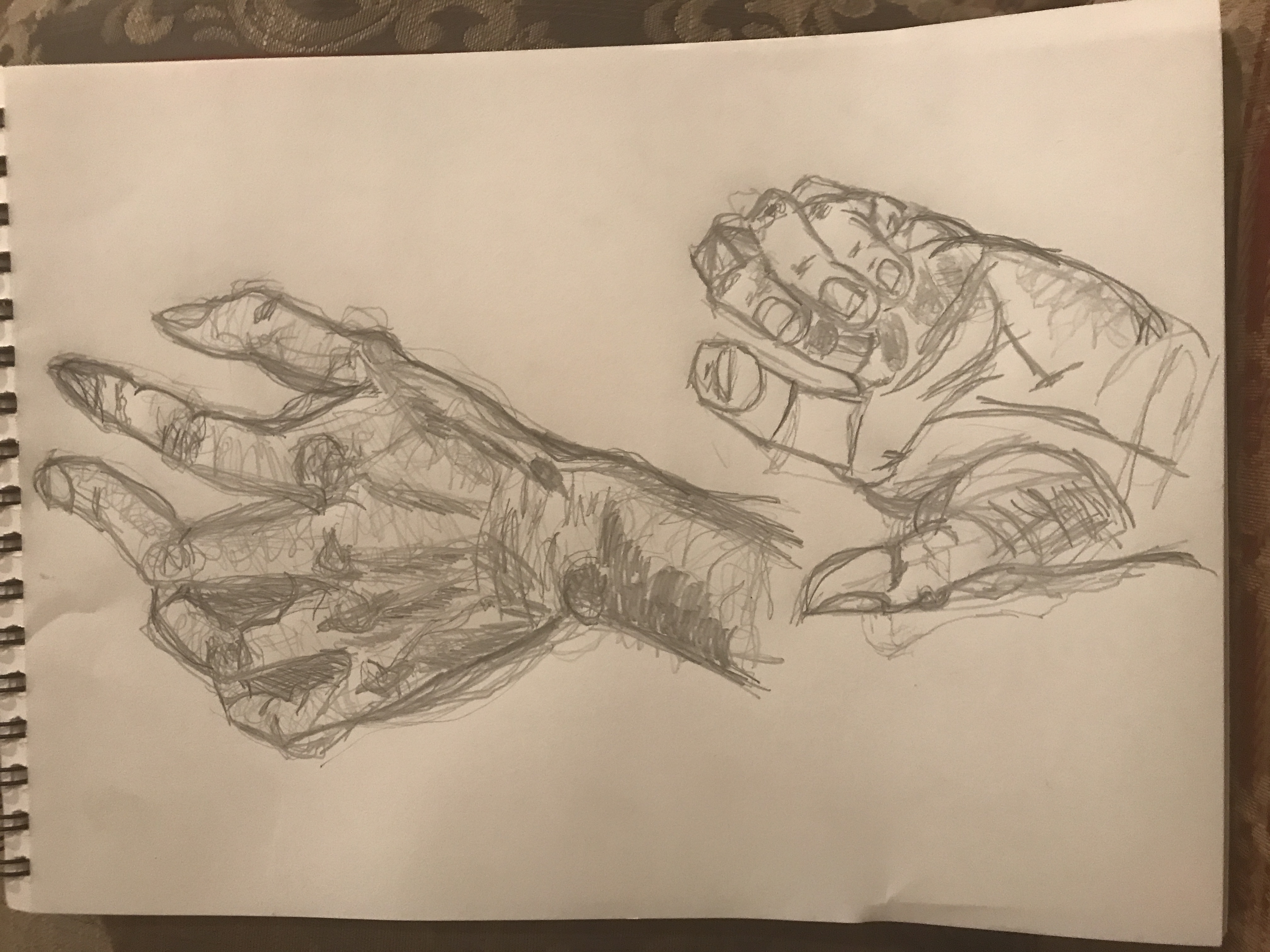 Hands Sketch Graphite