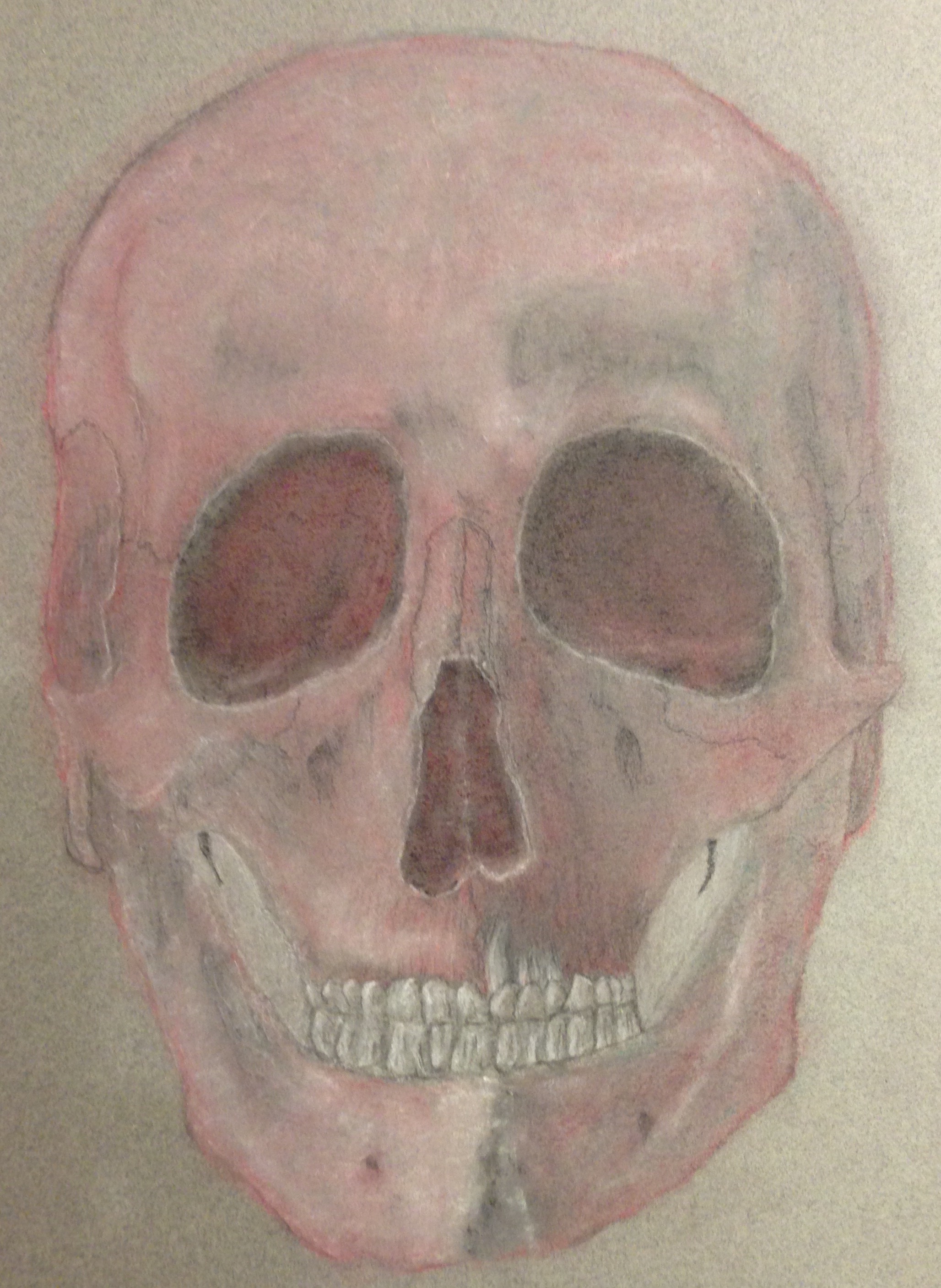 Skull - Chaulk Pastel
